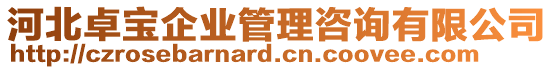 河北卓寶企業(yè)管理咨詢有限公司