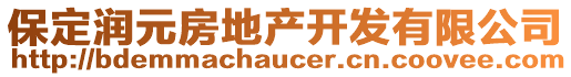 保定润元房地产开发有限公司