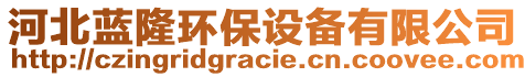 河北藍(lán)隆環(huán)保設(shè)備有限公司