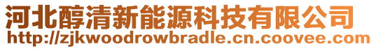 河北醇清新能源科技有限公司