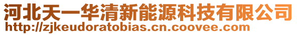 河北天一華清新能源科技有限公司