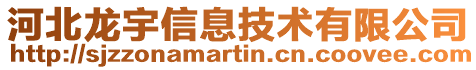 河北龍宇信息技術有限公司