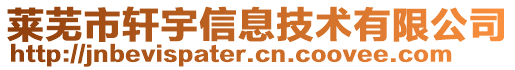 萊蕪市軒宇信息技術(shù)有限公司