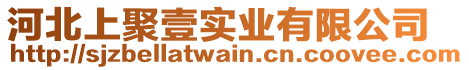 河北上聚壹實(shí)業(yè)有限公司