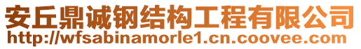 安丘鼎誠(chéng)鋼結(jié)構(gòu)工程有限公司