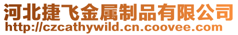 河北捷飛金屬制品有限公司