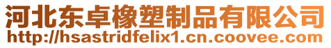 河北東卓橡塑制品有限公司