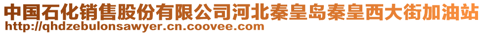 中國石化銷售股份有限公司河北秦皇島秦皇西大街加油站