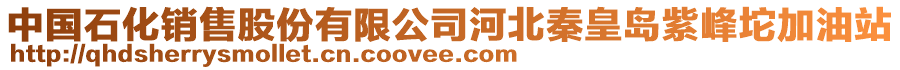 中國(guó)石化銷(xiāo)售股份有限公司河北秦皇島紫峰坨加油站