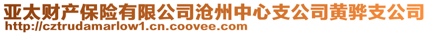 亞太財產保險有限公司滄州中心支公司黃驊支公司