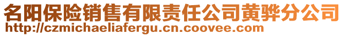 名陽(yáng)保險(xiǎn)銷售有限責(zé)任公司黃驊分公司