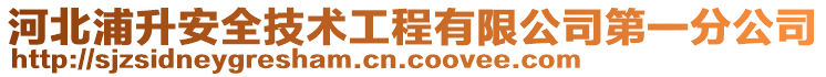 河北浦升安全技術(shù)工程有限公司第一分公司