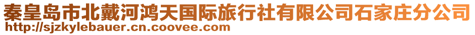 秦皇島市北戴河鴻天國際旅行社有限公司石家莊分公司