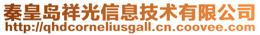 秦皇島祥光信息技術有限公司