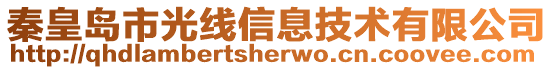 秦皇島市光線信息技術有限公司