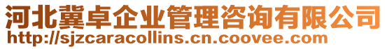 河北冀卓企業(yè)管理咨詢有限公司