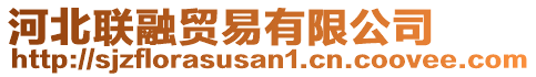 河北聯(lián)融貿(mào)易有限公司