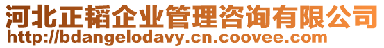 河北正韬企业管理咨询有限公司