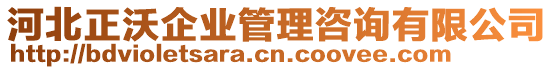 河北正沃企業(yè)管理咨詢有限公司