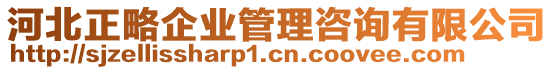 河北正略企業(yè)管理咨詢有限公司