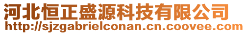 河北恒正盛源科技有限公司