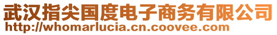 武汉指尖国度电子商务有限公司