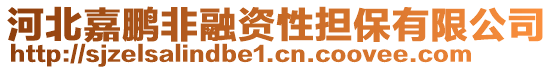 河北嘉鵬非融資性擔(dān)保有限公司