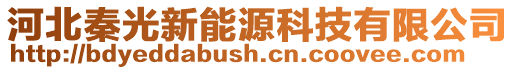 河北秦光新能源科技有限公司