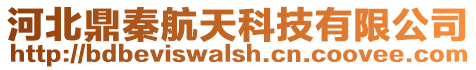 河北鼎秦航天科技有限公司