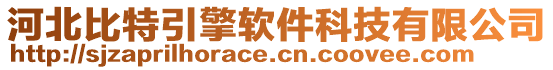 河北比特引擎軟件科技有限公司