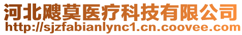 河北颼莫醫(yī)療科技有限公司