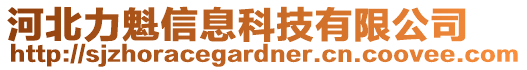 河北力魁信息科技有限公司