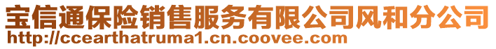 寶信通保險銷售服務(wù)有限公司風(fēng)和分公司