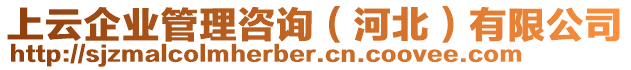 上云企業(yè)管理咨詢(xún)（河北）有限公司