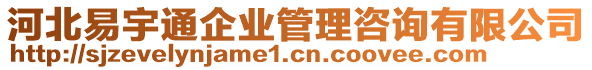 河北易宇通企業(yè)管理咨詢有限公司