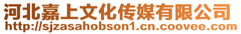 河北嘉上文化傳媒有限公司