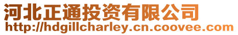 河北正通投資有限公司