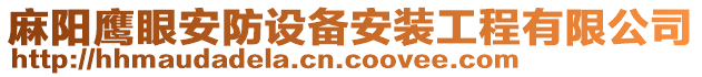 麻陽鷹眼安防設備安裝工程有限公司