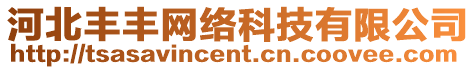 河北豐豐網(wǎng)絡(luò)科技有限公司