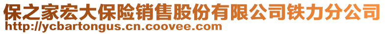 保之家宏大保險銷售股份有限公司鐵力分公司