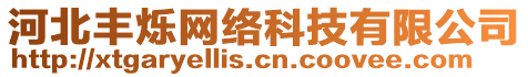 河北豐爍網(wǎng)絡(luò)科技有限公司