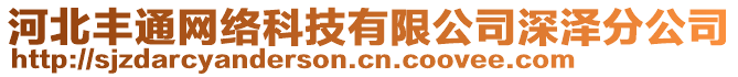 河北豐通網(wǎng)絡(luò)科技有限公司深澤分公司