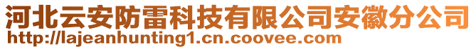 河北云安防雷科技有限公司安徽分公司