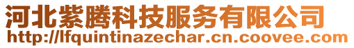 河北紫騰科技服務(wù)有限公司