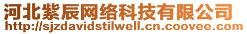 河北紫辰網(wǎng)絡(luò)科技有限公司