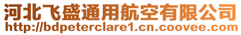 河北飛盛通用航空有限公司