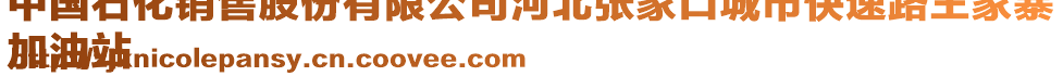 中國(guó)石化銷售股份有限公司河北張家口城市快速路王家寨
加油站