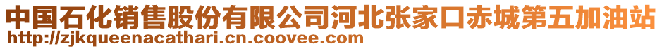 中國石化銷售股份有限公司河北張家口赤城第五加油站