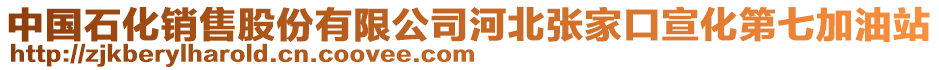 中國石化銷售股份有限公司河北張家口宣化第七加油站