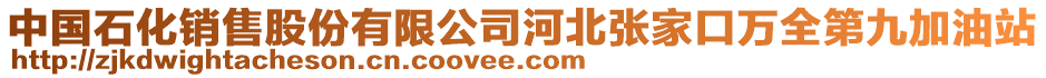 中國石化銷售股份有限公司河北張家口萬全第九加油站